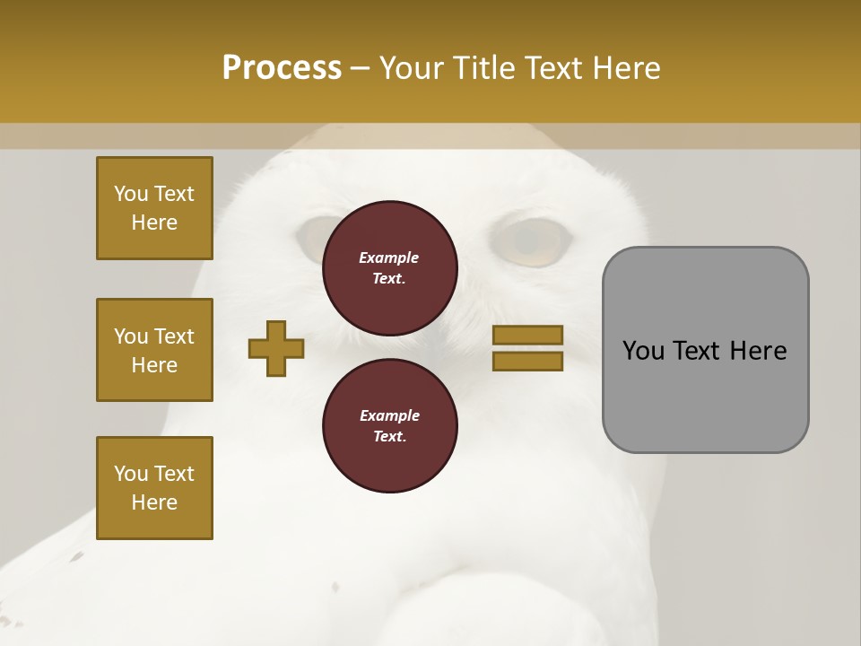 A White Owl Sitting On Top Of A Wooden Table PowerPoint Template