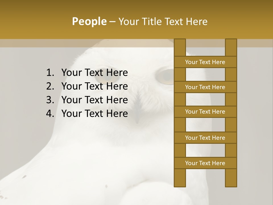 A White Owl Sitting On Top Of A Wooden Table PowerPoint Template