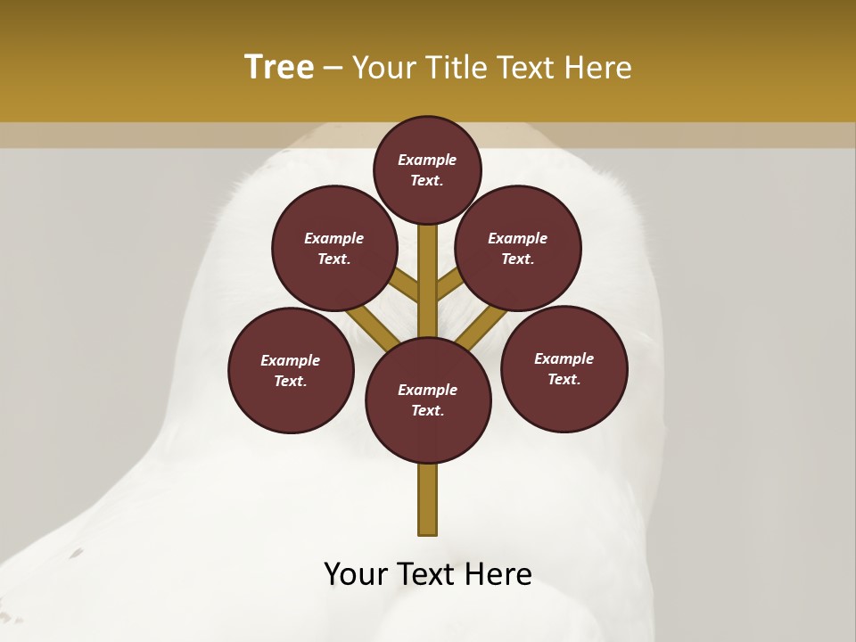 A White Owl Sitting On Top Of A Wooden Table PowerPoint Template