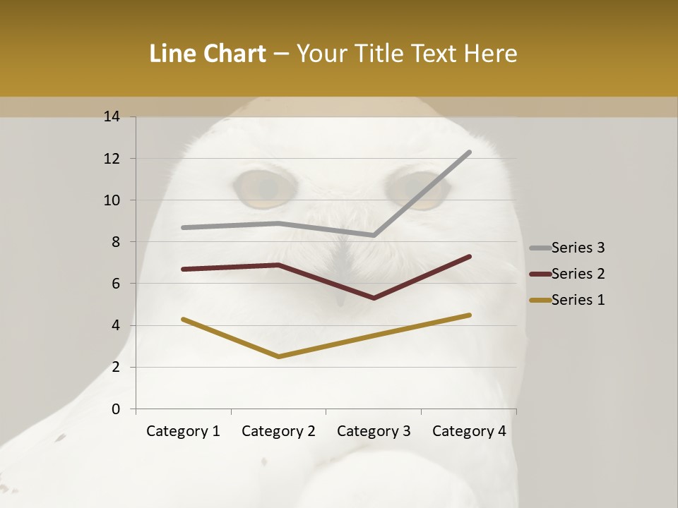 A White Owl Sitting On Top Of A Wooden Table PowerPoint Template