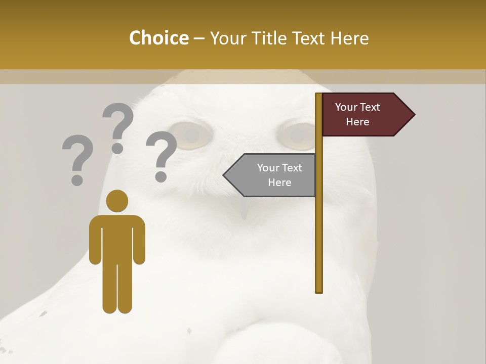 A White Owl Sitting On Top Of A Wooden Table PowerPoint Template