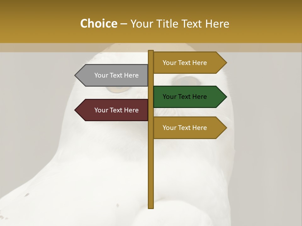 A White Owl Sitting On Top Of A Wooden Table PowerPoint Template