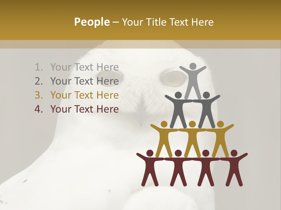 A White Owl Sitting On Top Of A Wooden Table PowerPoint Template