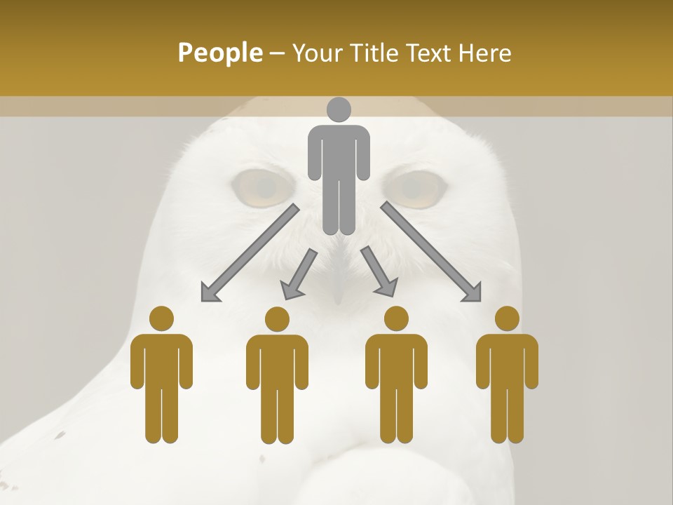 A White Owl Sitting On Top Of A Wooden Table PowerPoint Template