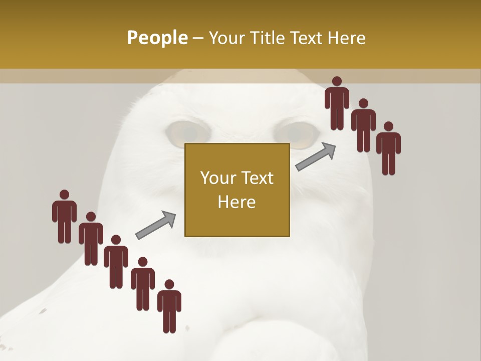 A White Owl Sitting On Top Of A Wooden Table PowerPoint Template