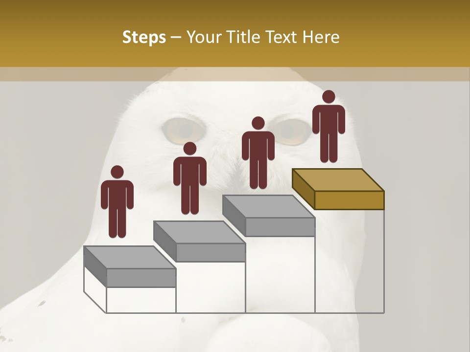 A White Owl Sitting On Top Of A Wooden Table PowerPoint Template