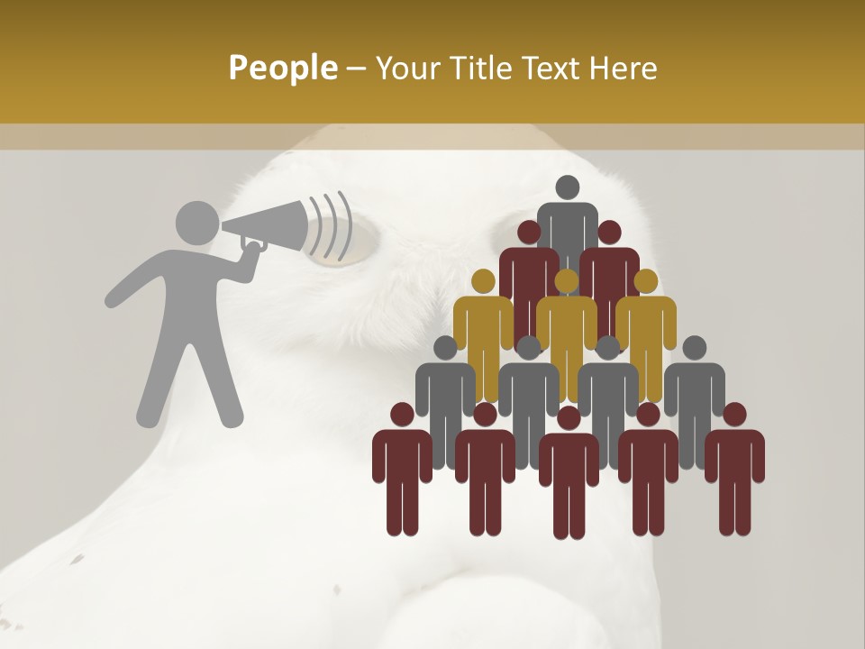 A White Owl Sitting On Top Of A Wooden Table PowerPoint Template