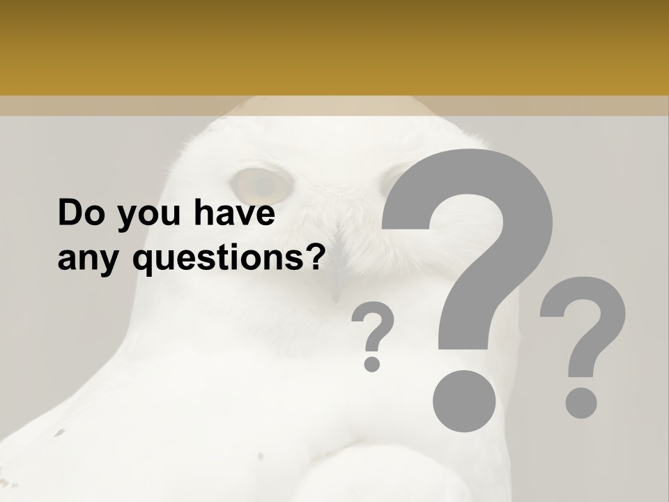 A White Owl Sitting On Top Of A Wooden Table PowerPoint Template