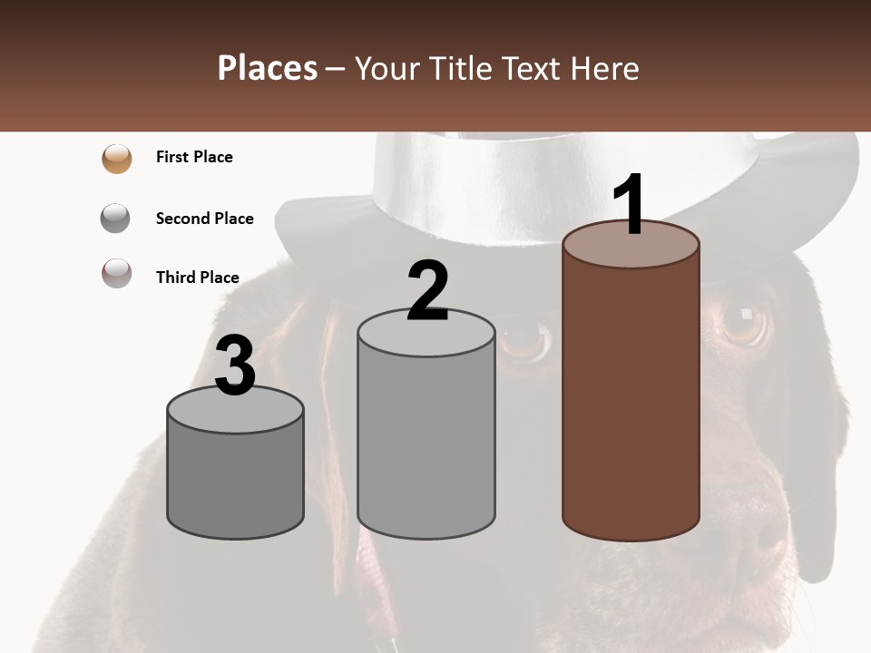 A Dog Wearing A Hat With A Name Tag On It PowerPoint Template