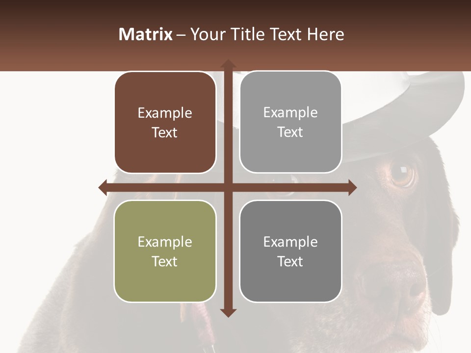 A Dog Wearing A Hat With A Name Tag On It PowerPoint Template