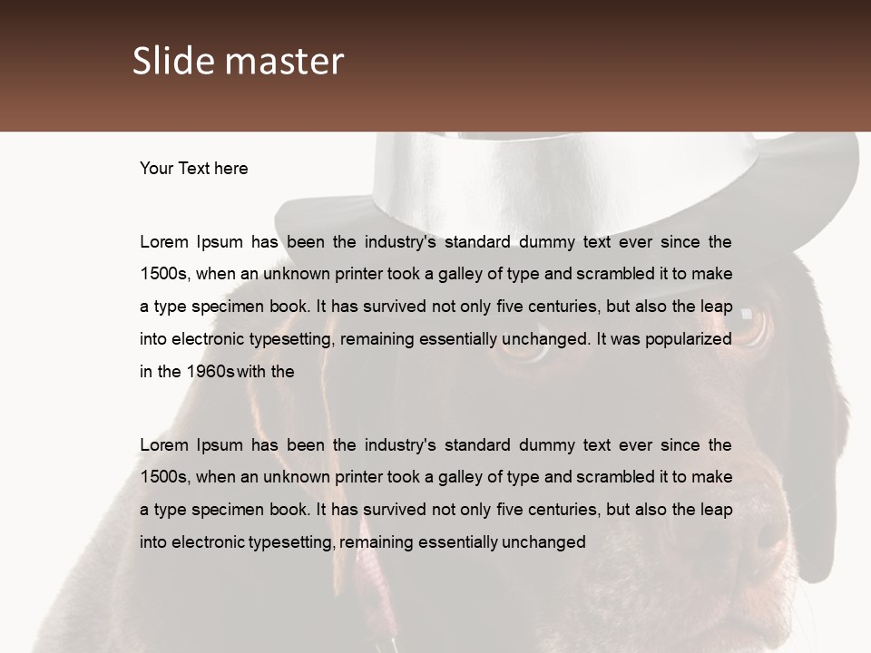 A Dog Wearing A Hat With A Name Tag On It PowerPoint Template