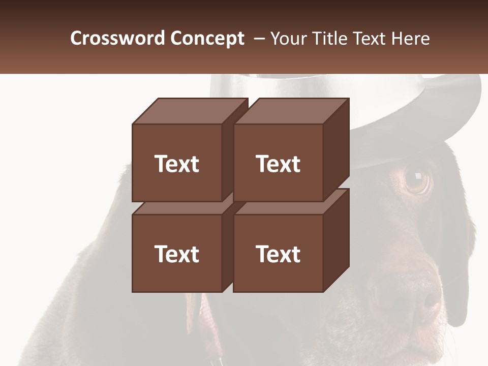 A Dog Wearing A Hat With A Name Tag On It PowerPoint Template