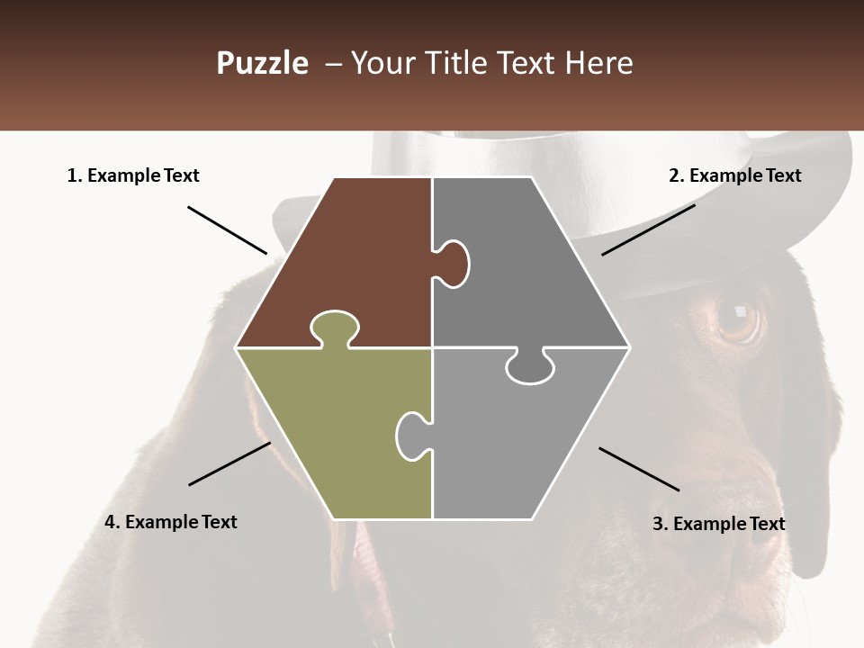 A Dog Wearing A Hat With A Name Tag On It PowerPoint Template