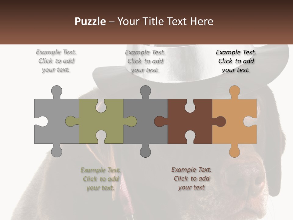 A Dog Wearing A Hat With A Name Tag On It PowerPoint Template