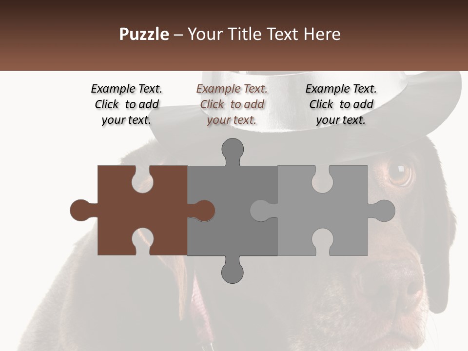 A Dog Wearing A Hat With A Name Tag On It PowerPoint Template