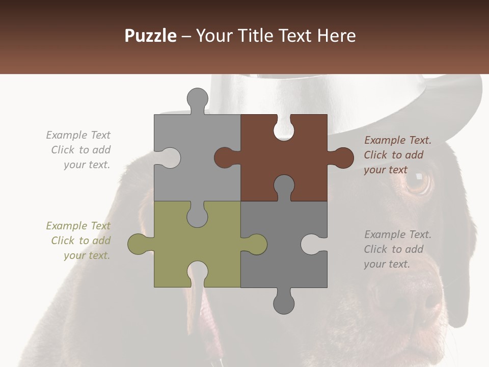 A Dog Wearing A Hat With A Name Tag On It PowerPoint Template