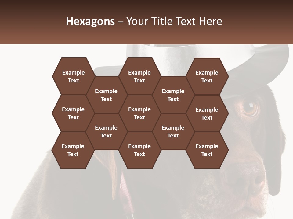 A Dog Wearing A Hat With A Name Tag On It PowerPoint Template