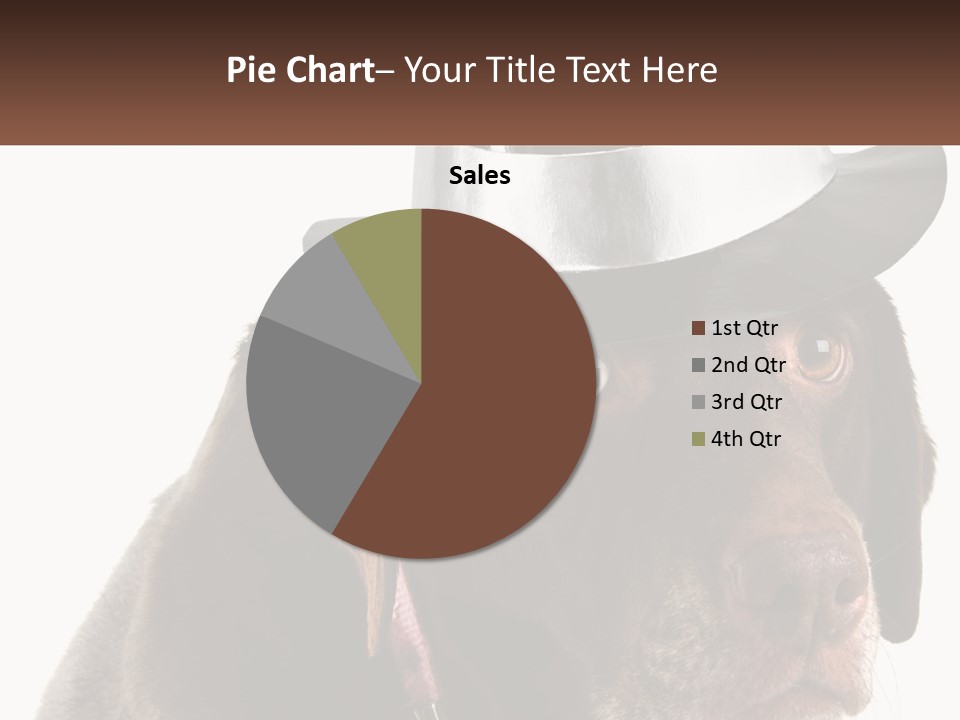 A Dog Wearing A Hat With A Name Tag On It PowerPoint Template