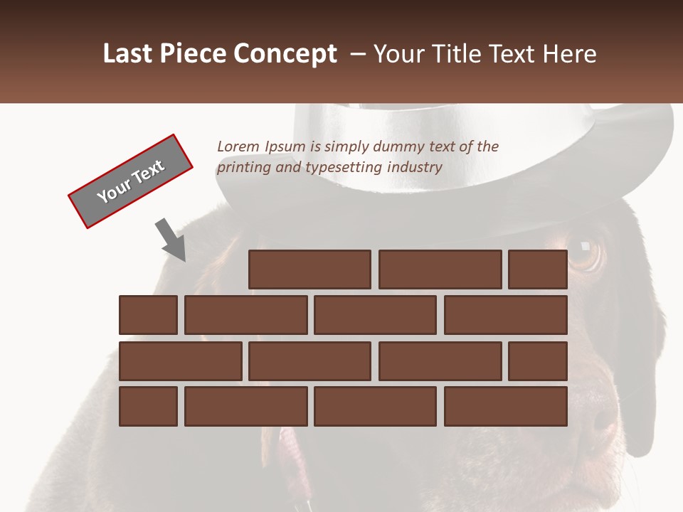 A Dog Wearing A Hat With A Name Tag On It PowerPoint Template