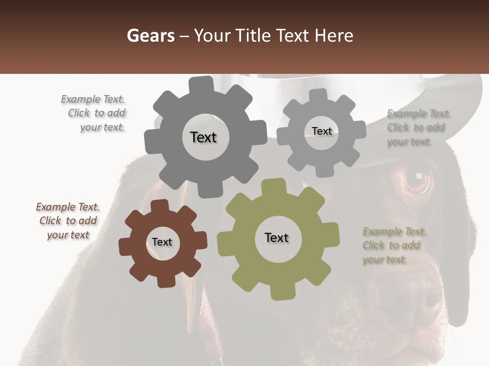 A Dog Wearing A Hat With A Name Tag On It PowerPoint Template