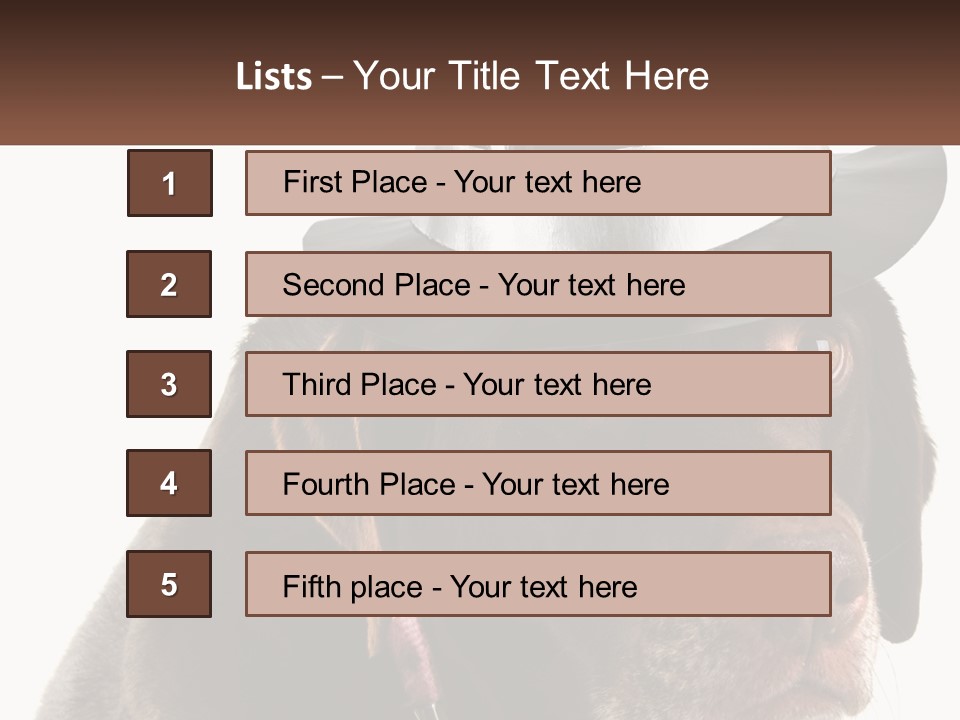 A Dog Wearing A Hat With A Name Tag On It PowerPoint Template