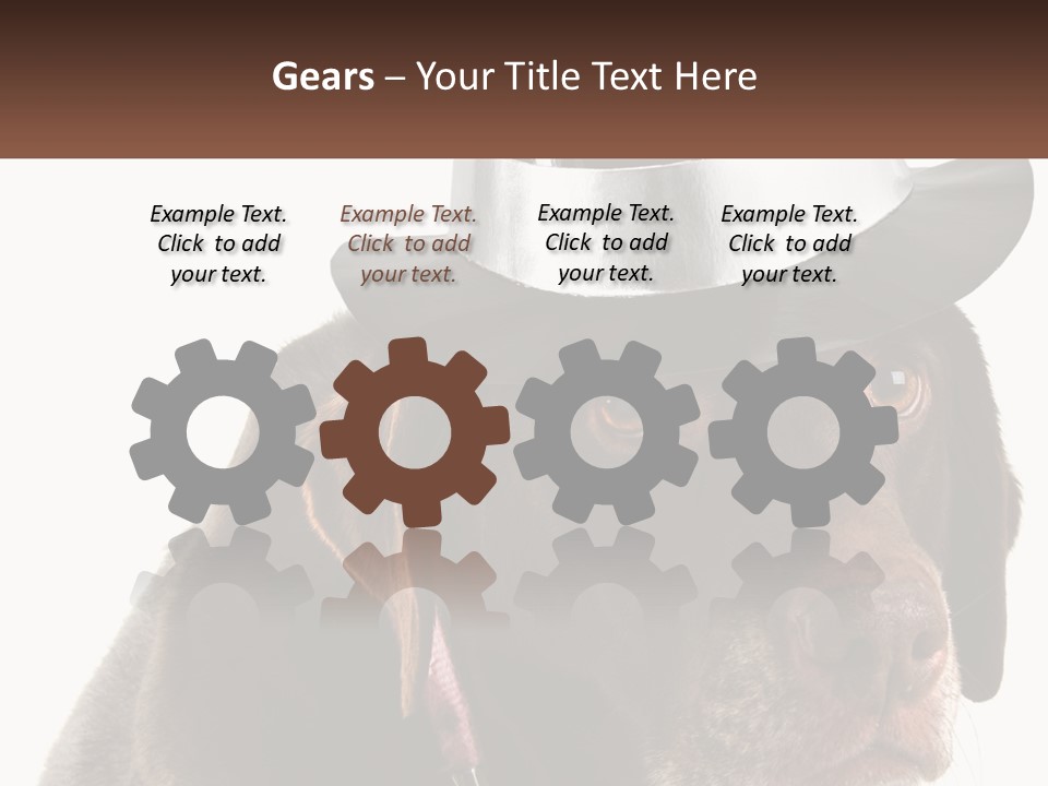 A Dog Wearing A Hat With A Name Tag On It PowerPoint Template