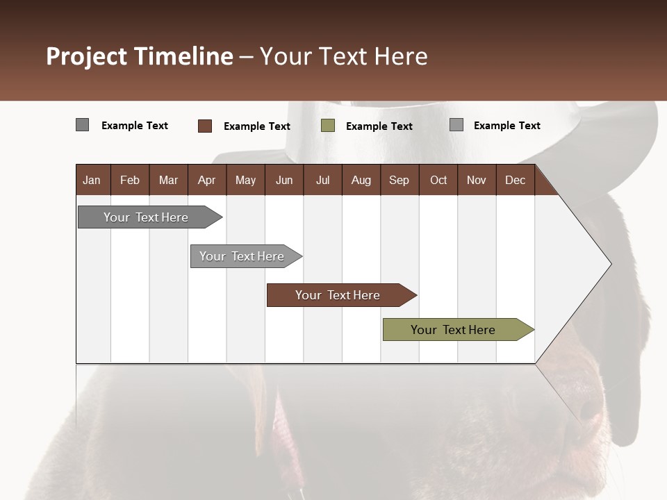 A Dog Wearing A Hat With A Name Tag On It PowerPoint Template