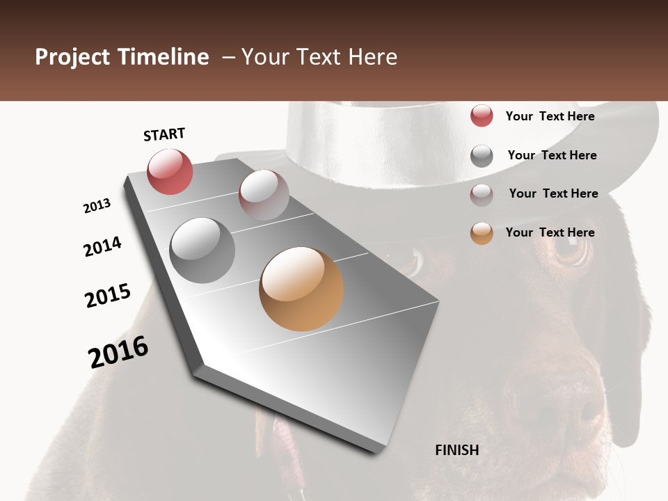 A Dog Wearing A Hat With A Name Tag On It PowerPoint Template