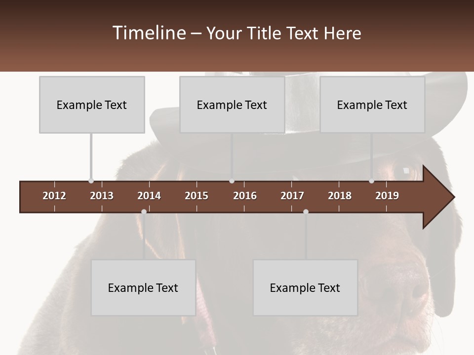 A Dog Wearing A Hat With A Name Tag On It PowerPoint Template