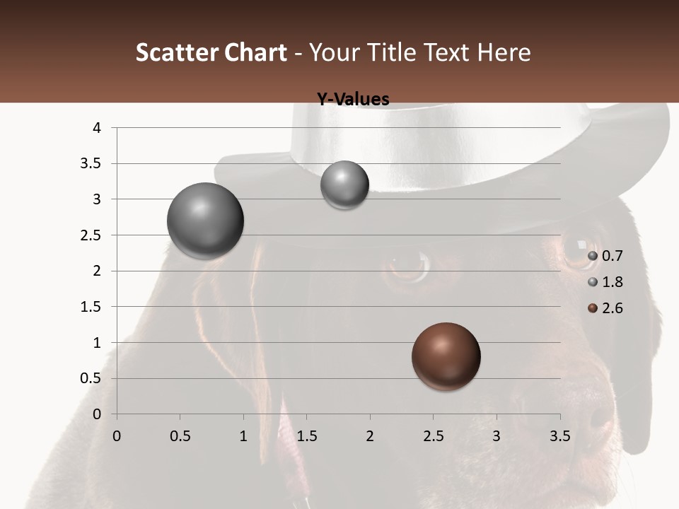 A Dog Wearing A Hat With A Name Tag On It PowerPoint Template