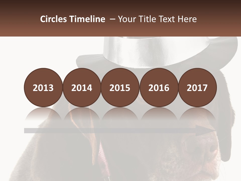 A Dog Wearing A Hat With A Name Tag On It PowerPoint Template