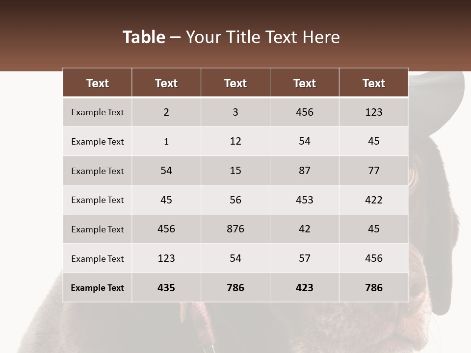 A Dog Wearing A Hat With A Name Tag On It PowerPoint Template