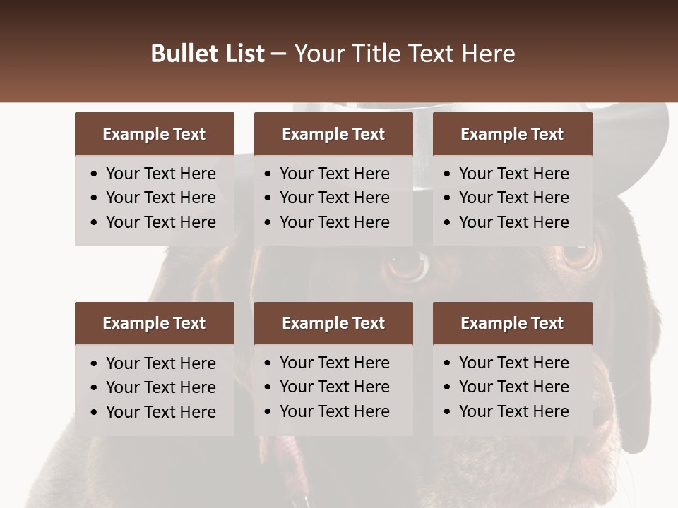 A Dog Wearing A Hat With A Name Tag On It PowerPoint Template