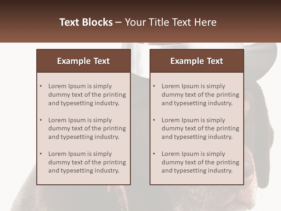 A Dog Wearing A Hat With A Name Tag On It PowerPoint Template