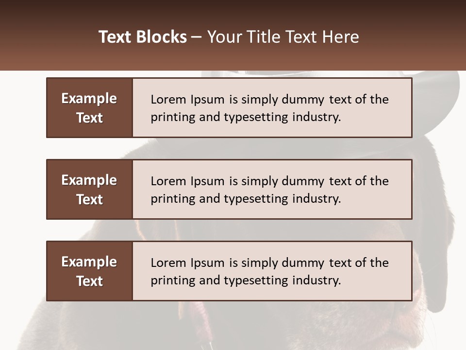 A Dog Wearing A Hat With A Name Tag On It PowerPoint Template