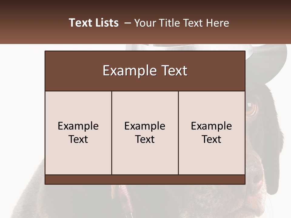 A Dog Wearing A Hat With A Name Tag On It PowerPoint Template