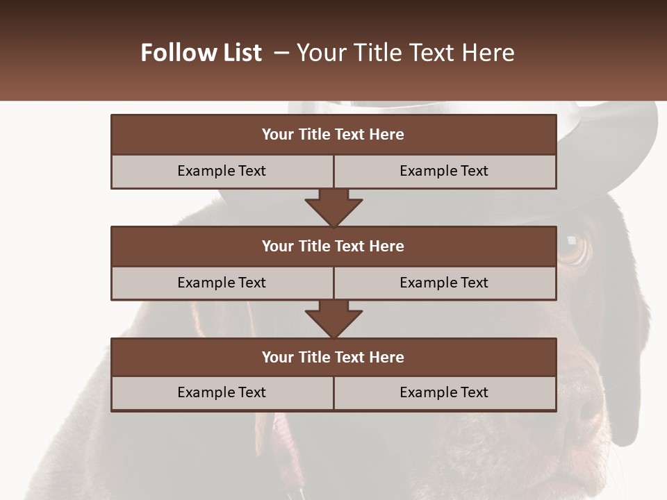 A Dog Wearing A Hat With A Name Tag On It PowerPoint Template