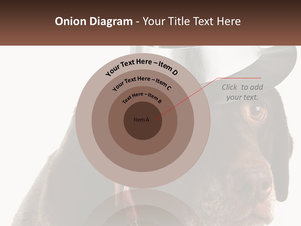 A Dog Wearing A Hat With A Name Tag On It PowerPoint Template