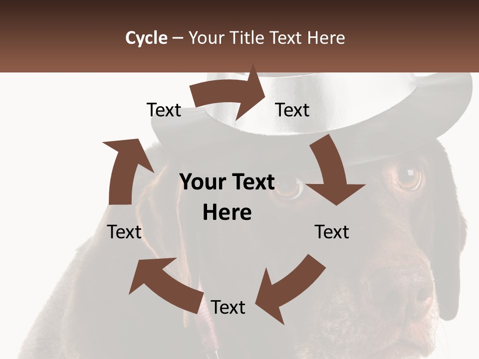 A Dog Wearing A Hat With A Name Tag On It PowerPoint Template