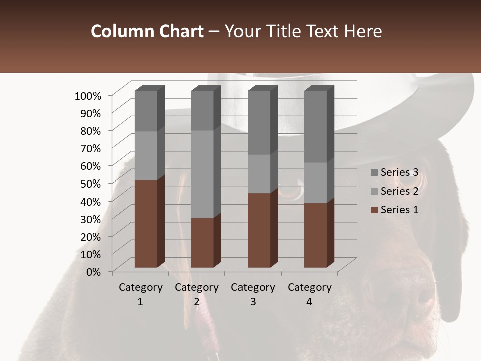 A Dog Wearing A Hat With A Name Tag On It PowerPoint Template