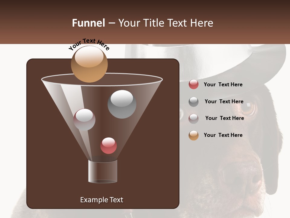 A Dog Wearing A Hat With A Name Tag On It PowerPoint Template