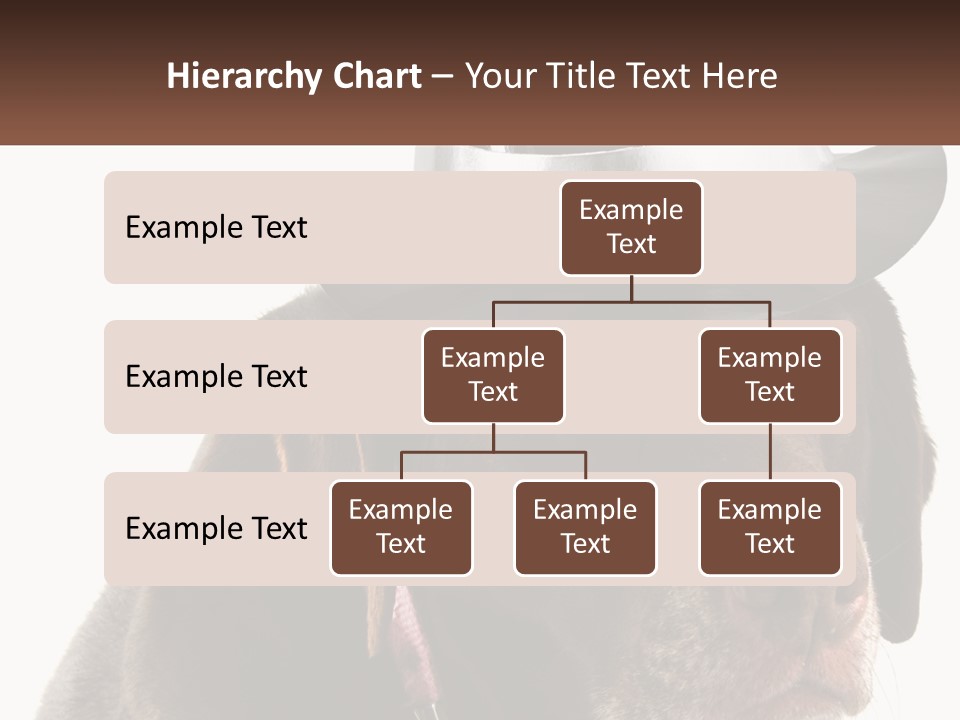 A Dog Wearing A Hat With A Name Tag On It PowerPoint Template