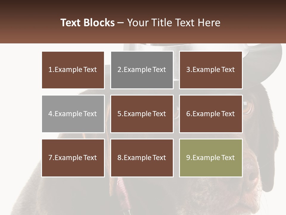 A Dog Wearing A Hat With A Name Tag On It PowerPoint Template