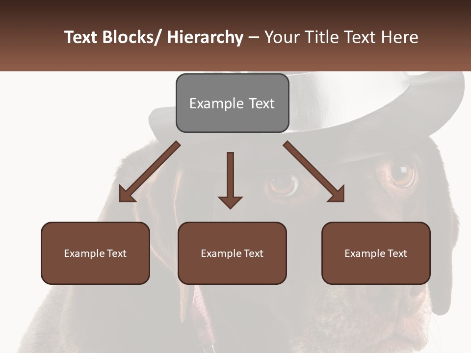 A Dog Wearing A Hat With A Name Tag On It PowerPoint Template