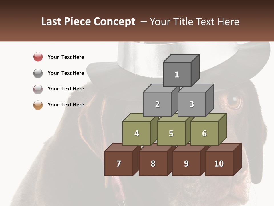 A Dog Wearing A Hat With A Name Tag On It PowerPoint Template