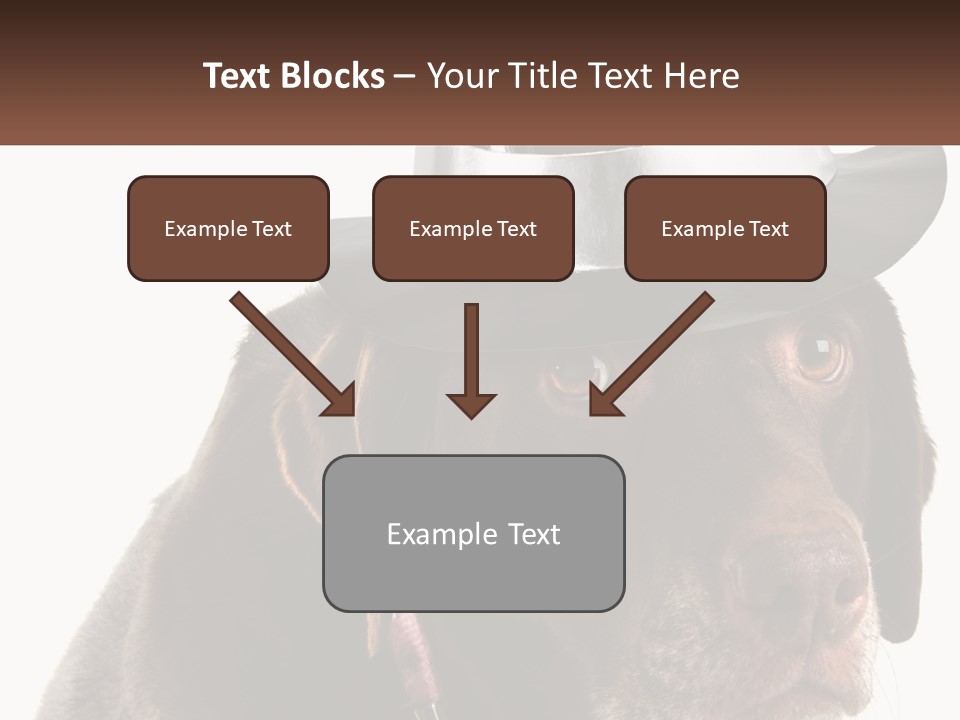 A Dog Wearing A Hat With A Name Tag On It PowerPoint Template