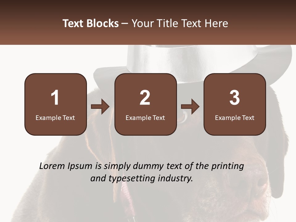 A Dog Wearing A Hat With A Name Tag On It PowerPoint Template