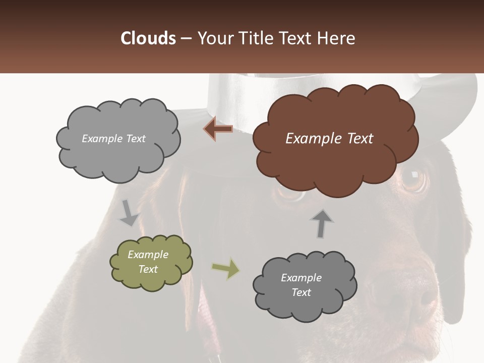 A Dog Wearing A Hat With A Name Tag On It PowerPoint Template