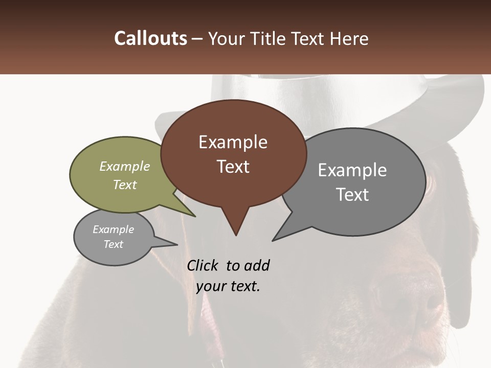 A Dog Wearing A Hat With A Name Tag On It PowerPoint Template