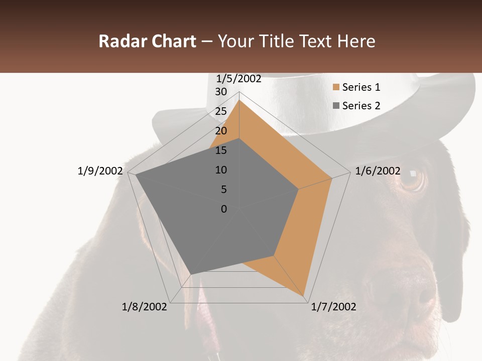 A Dog Wearing A Hat With A Name Tag On It PowerPoint Template